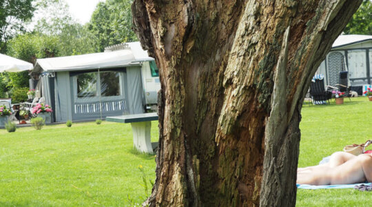 Zonnige campingplaatsen Naturistencamping Abtswoudse Hoeve