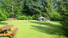 Mooie zonnige campingplaatsen Naturistencamping Kuikseind