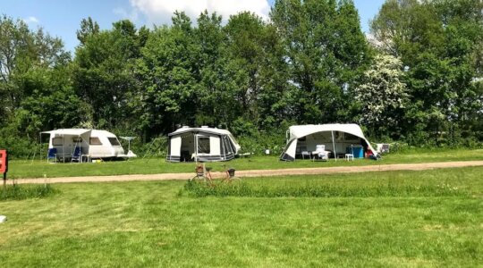 Mooie grasplaatsen Naturistencamping De Appelhof