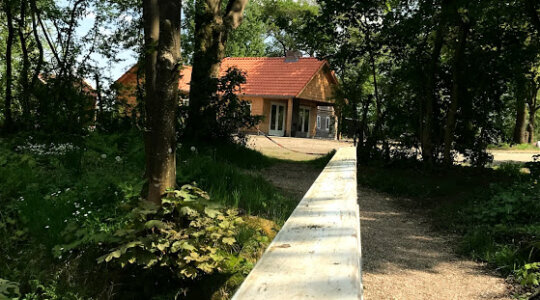 natuurlijke schaduw Naturistencamping De Appelhof
