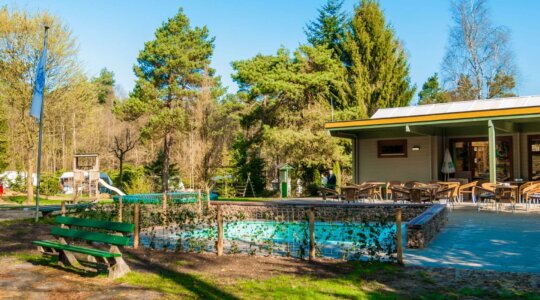 Zwembad en speeltuin op Naturistencamping Lichtbond Gelre
