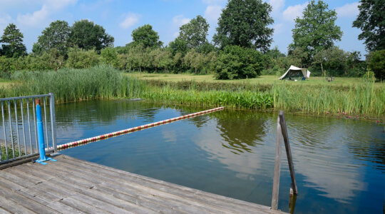 Naturistencamping De Maat heeft een natuurlijk aangelegde zwemvijver