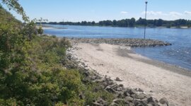 strand met een stenen pier op Naaktstrand Loenensche Buitenpolder