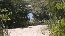 beschut plekje langs de rivier op Naaktstrand Loenensche Buitenpolder