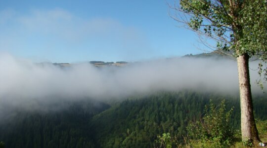 Naturistencamping La Taillade