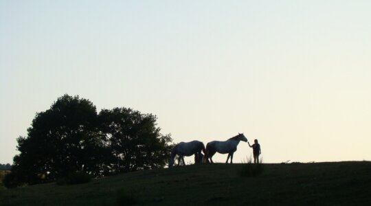 Naturistencamping La Taillade