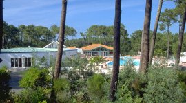 Door de pijnbomen heen zie je het zwembad van naturistencamping Arnaoutchot