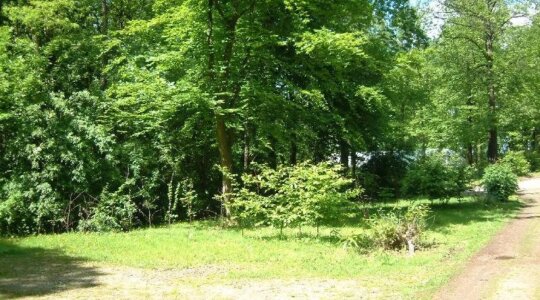 Naturistencamping Athena Helios