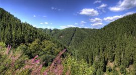 Naturistencamping Athena Le Perron ligt op een hoogte van 540m en het heeft een prachtig uitzicht