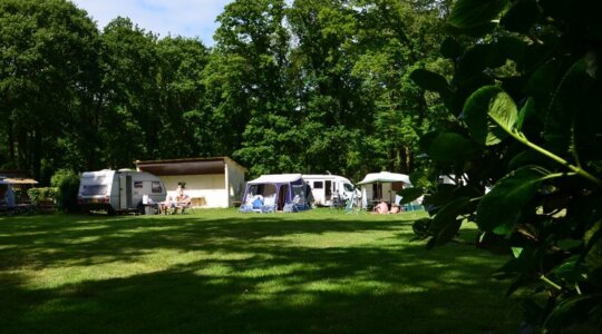 Bois des 40 Acres