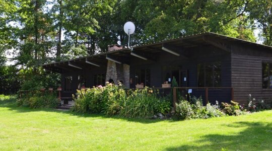 Bois des 40 Acres