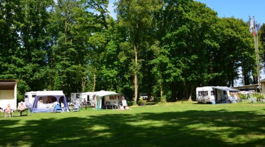 Bois des 40 Acres