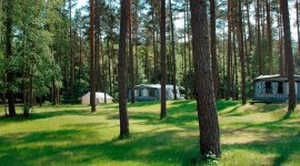 Ruime campingplaatsen tussen de bomen op naturistencamping am Useriner See