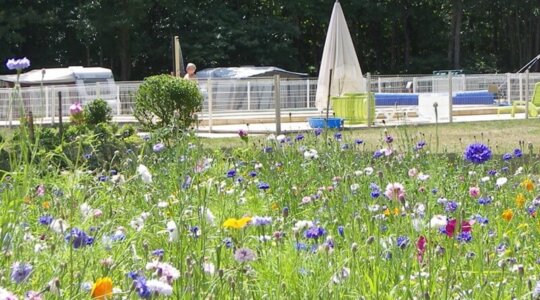 Naturistencamping Le Clos Marot