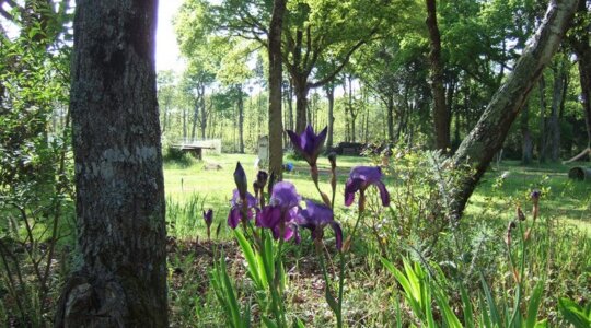 Naturistencamping Le Clos Marot