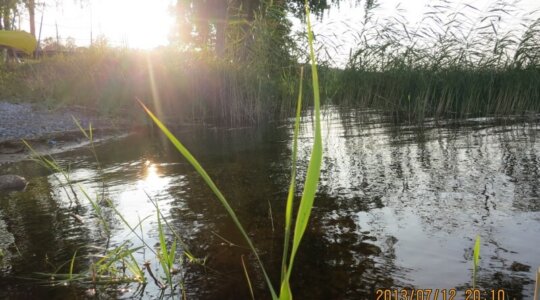 Naturistencamping Gustavsbergs