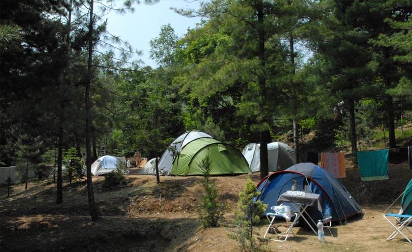 Grote en kleine tenten, alles kan op naturistencamping Le Betulle