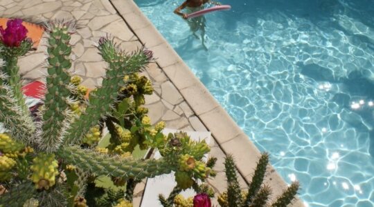 zwembad in groene tuin van naturisten accommodatie les lodges
