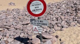 bord op Naaktstrand Plage de Lourtuais, Cap D'erquy in Bretagne