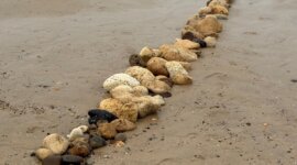 dam van keien op Naaktstrand Plage de Montalivet