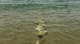 dam van keien op Naaktstrand Plage de Montalivet