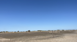 Naaktstrand Plage de Piémanson is een uitgestrekt zandstrand