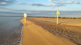rustgebied voor zeedieren in beschermd natuurgebied op Naaktstrand Platja de Can Comes