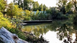 Naturist Oasis Camp Hongarije
