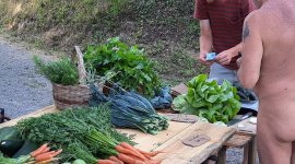 Verse groenten verkoop op naturistencamping Ca’ le Scope