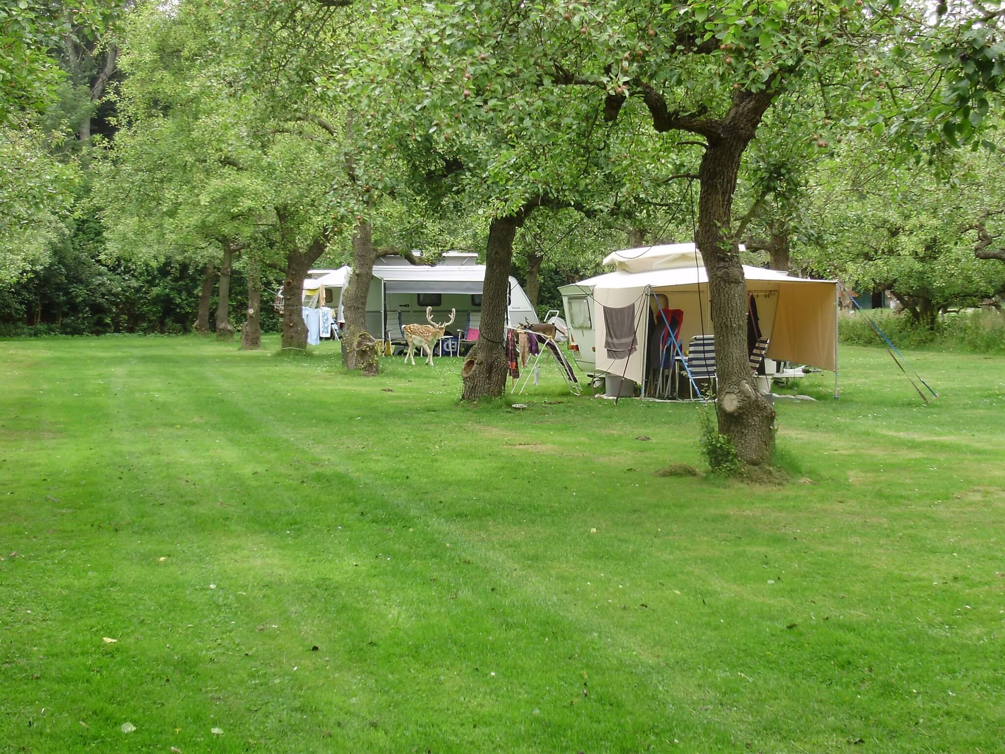 Blootkompas Naturistencamping Hermitage Blootkompas