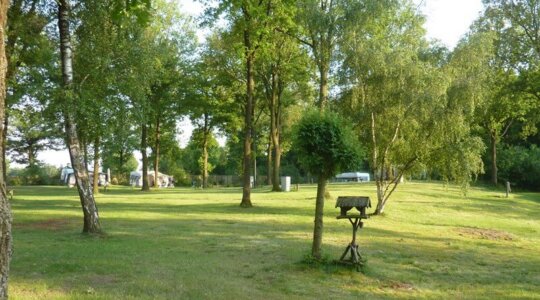 Naturistencamping Stichting Diepven biedt mooie groene kampeerplekken tussen de bomen