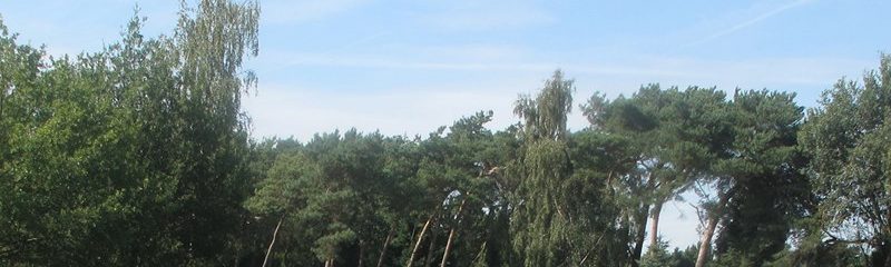 Naturistisch recreatiepark Elsendorp Noord Brabant