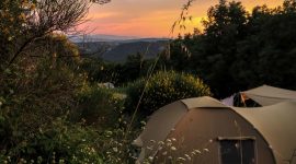 Mooie tentplaatsen tussen het groen op de heuvels van Italië op naturistencamping Sasso Corbo