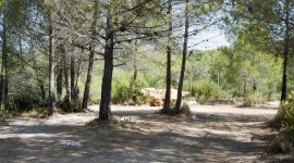 Tussen de naaldbomen zijn verschillende kampeerplaatsen op naturistencamping Sierra Natura