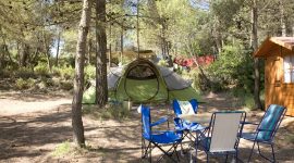 mooie kampeerplekken voor je tent tussen de bomen, echt in de natuur