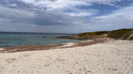Naaktstrand Plage de Bodri de Corbara vind je op Corsica in Frankrijk