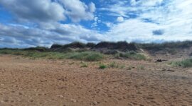 Uitzicht over het rustige naaktstrand van Mellbystrand met zee, duinen en blauwe lucht
