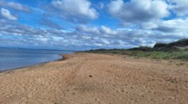 Uitzicht over het rustige naaktstrand van Mellbystrand met zee, duinen en blauwe lucht