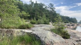 Naaktstrand Skutberget - Karlstad is omgeven door bomen