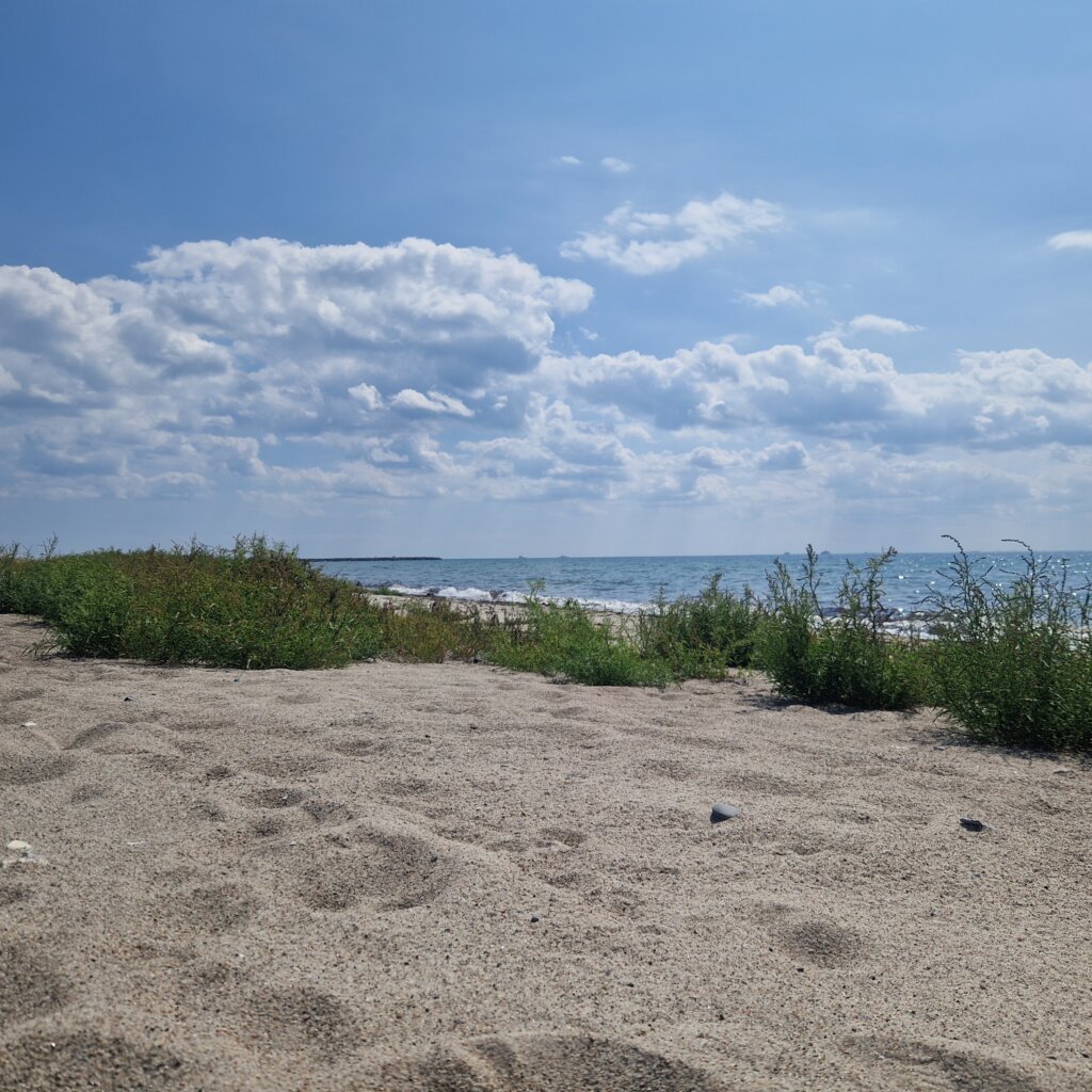 zicht op zee op Naaktstrand Brøndby Strand