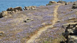 Wandelpad bij Naaktstrand Paraga Beach op Mykonos Griekenland