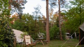 Ruime kampeerplaats in het bos op Lichtbond Gelre