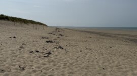 duinenrij op Naaktstrand Plage de la Pointe d'Agon