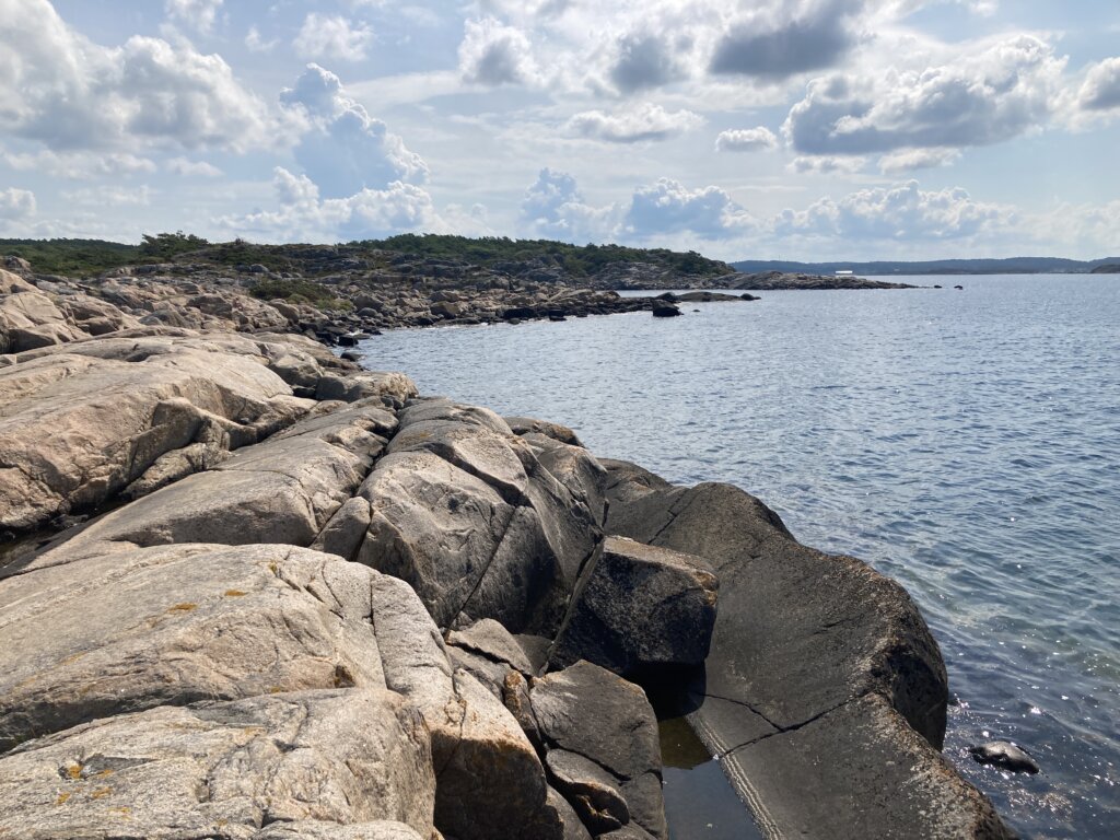 Naakt recreëren op het rotsige strand Kalven