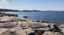 Naakt recreëren op het rotsige strand Kalven