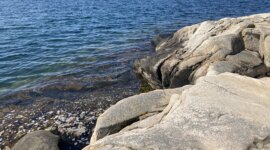 Naakt recreëren op het rotsige strand Kalven