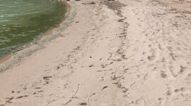 Naaktstrand Vålön Kristinehamn – Sandvikarna is een rustig zandstrand omringt door dennenbos