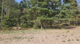 Naaktstrand Vålön Kristinehamn – Sandvikarna is een rustig zandstrand omringt door dennenbos