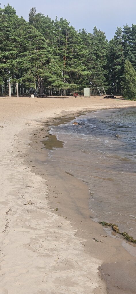 Naaktstrand Vålön Kristinehamn – Sandvikarna is een rustig zandstrand omringt door dennenbos