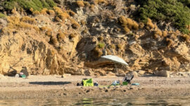 parasol en kristalheldere zee op Naaktstrand Ligaries Beach